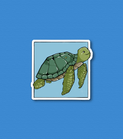 Sticker tortue